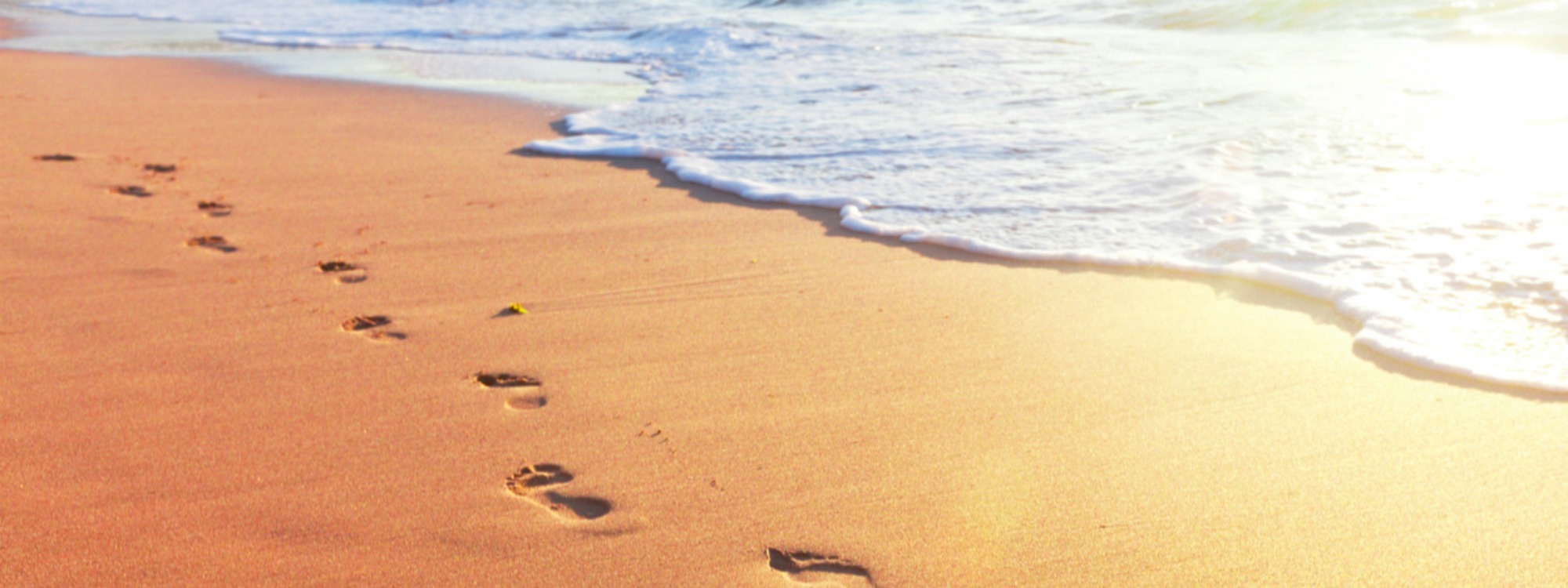 Theme Verse for 2026
Proverbs 3:5-6