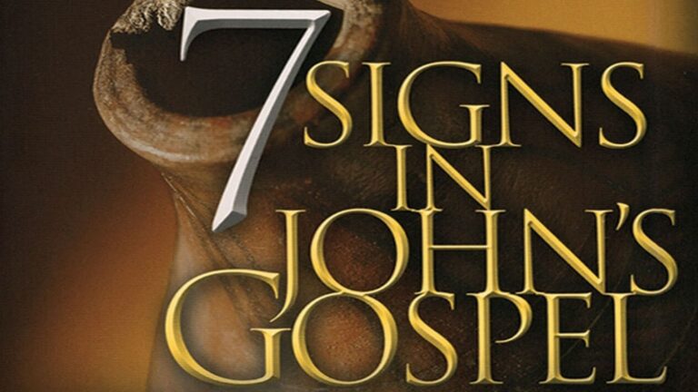 seven signs in johns gospel 19